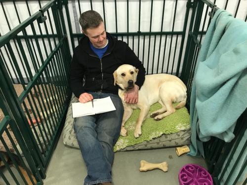 Went to pick him up from School and Martin his trainer was in the pen doing his paperwork.   It looks like Griffin is being read a bedtime story.